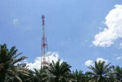 3rd telco tower|The third telco .